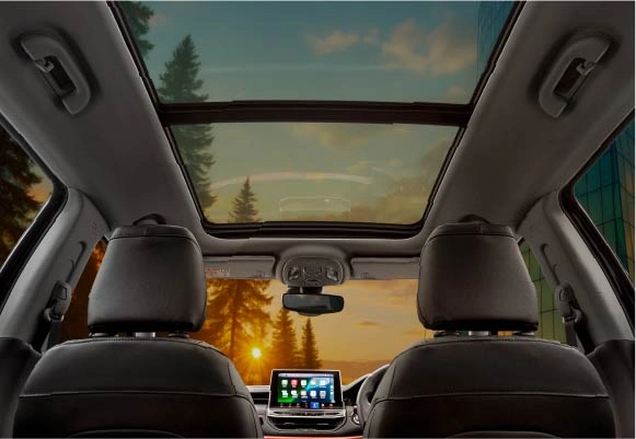 Panoramic Sunroof  